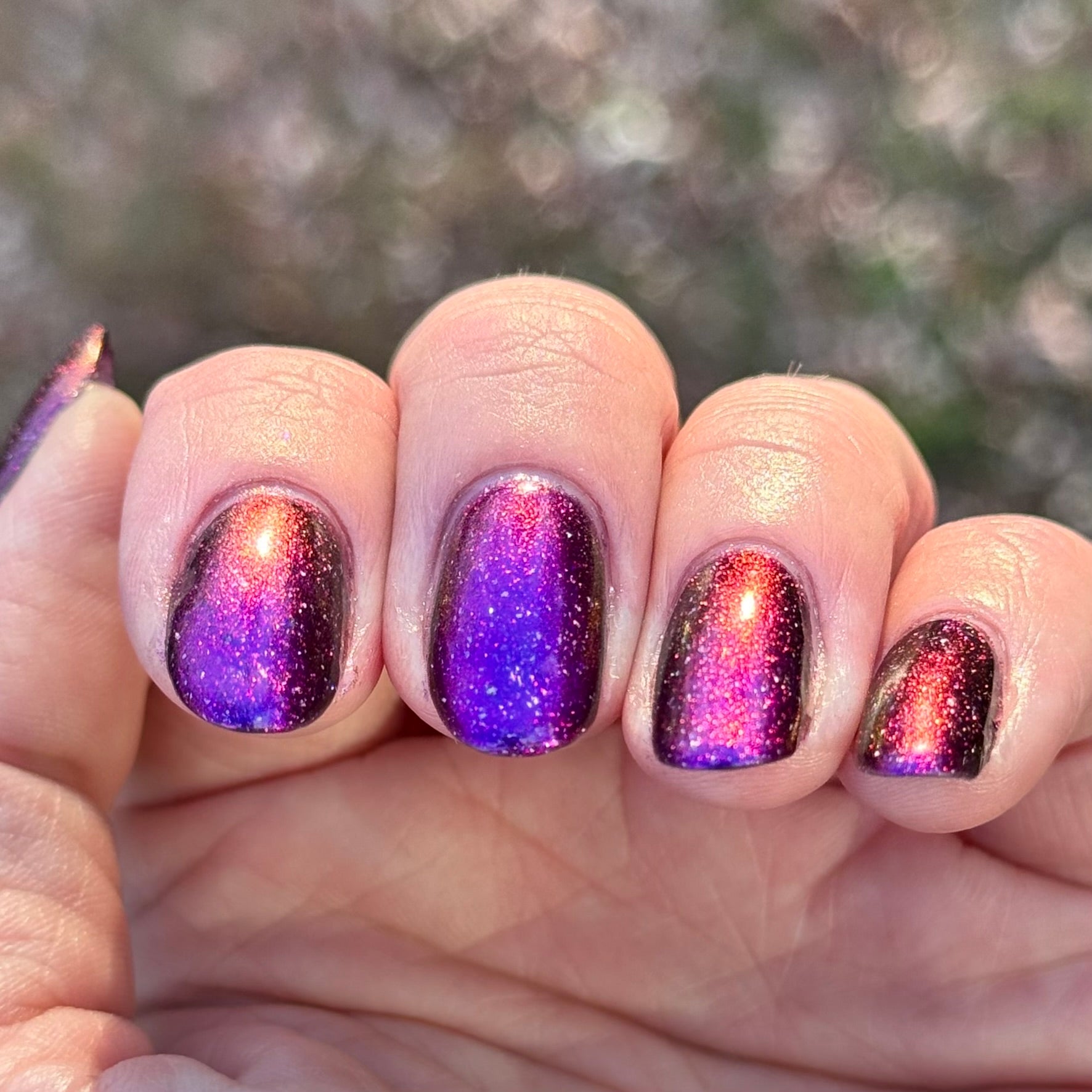 Nebula